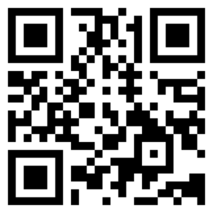 GPay QR Payment